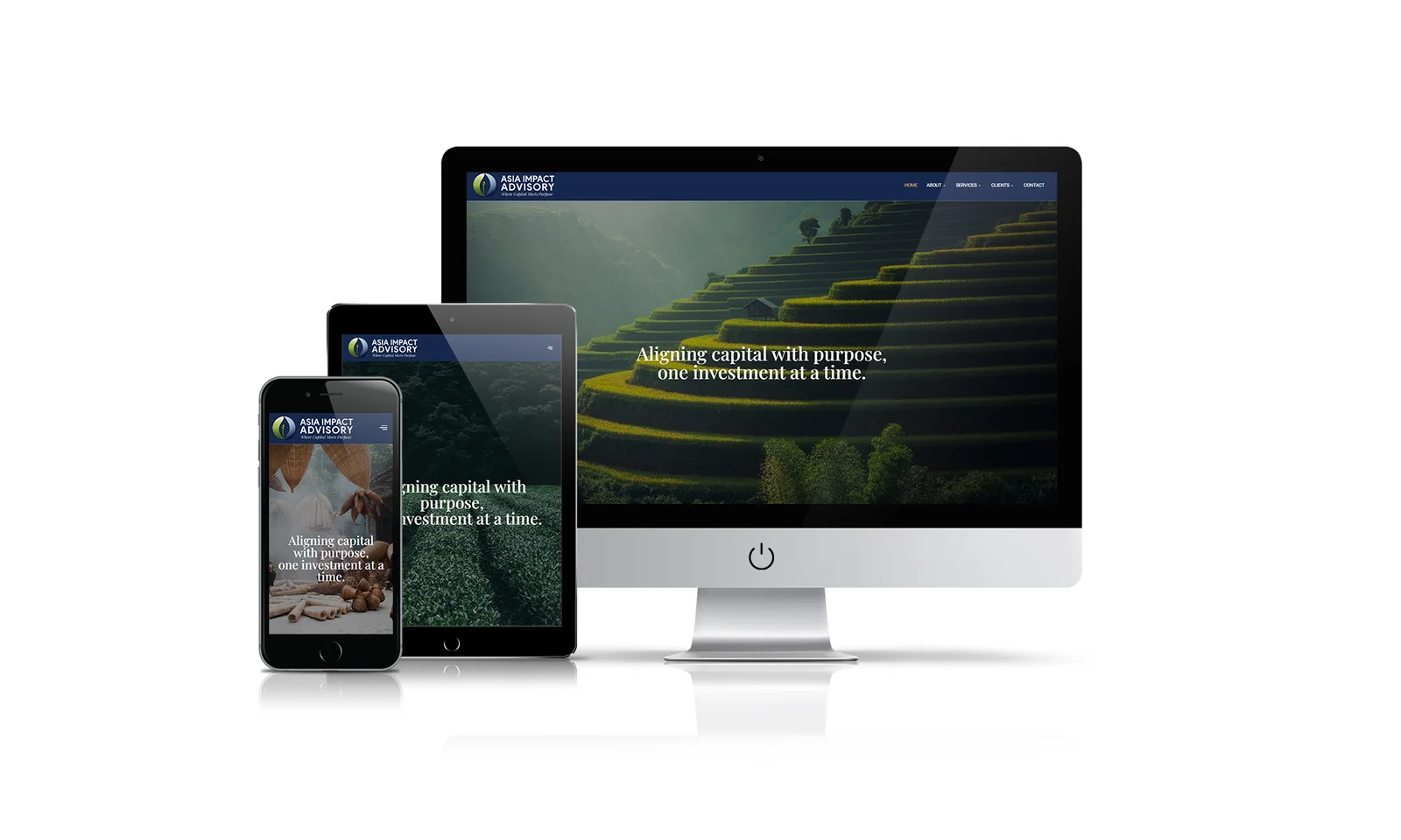 Impact Plus Advisory website preview