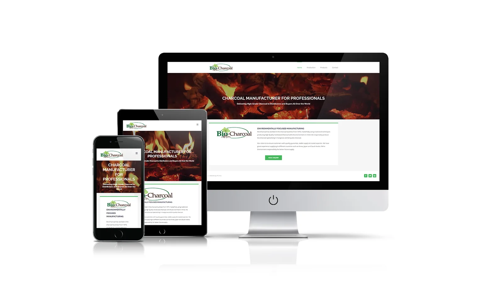 Bio Charcoal website preview