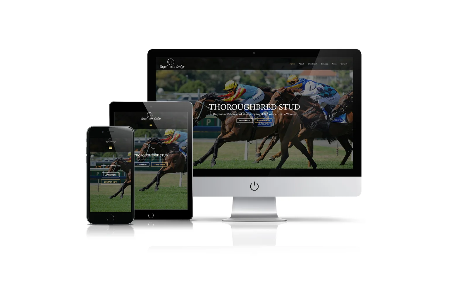 Regal Fern Lodge website preview
