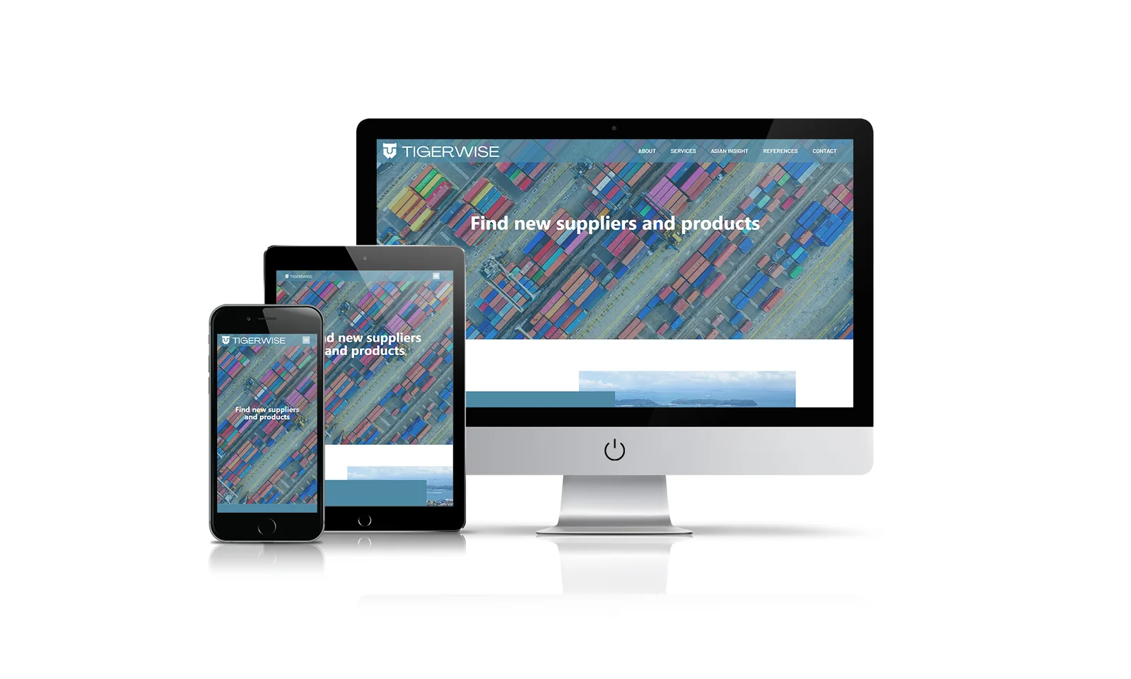Tigerwise website preview